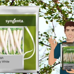 Radish Ivory White 250G || Syngenta